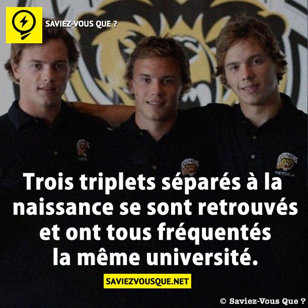 Trois triplets séparés à la naissance se sont retrouvés et ont tous fréquentés la même université.
