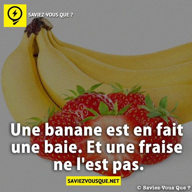 Une banane est en fait une baie. Et une fraise ne l&#039;est pas.