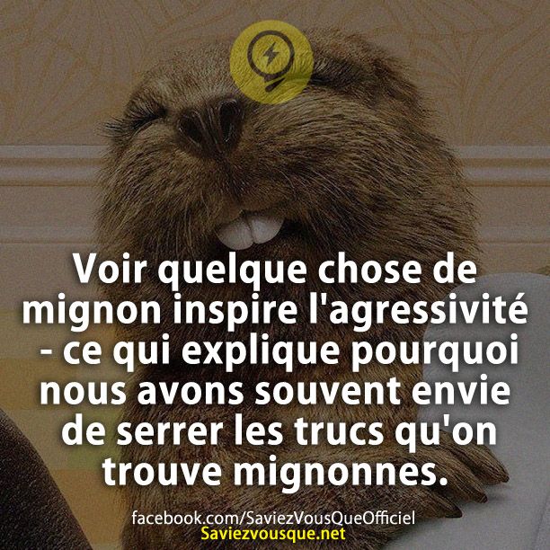Voir quelque chose de mignon inspire l'agressivité - ce qui explique pourquoi nous avons souvent envie de serrer les trucs qu'on trouve mignonnes.