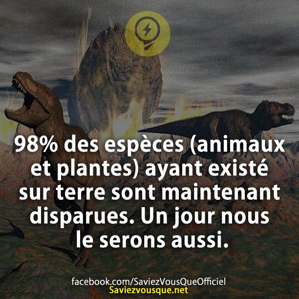 98% des espèces (animaux et plantes) ayant existé sur terre sont maintenant disparues. Un jour nous le serons aussi.
