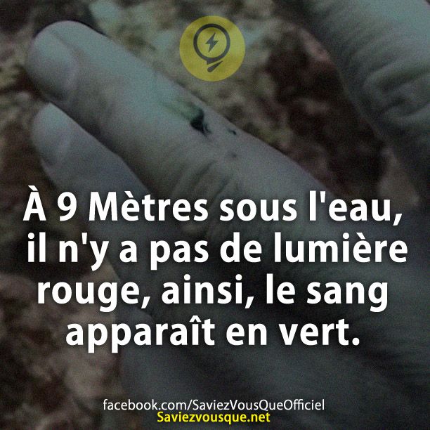 À 9 Mètres sous l&#039;eau, il n&#039;y a pas de lumière rouge, ainsi, le sang apparaît en vert.
