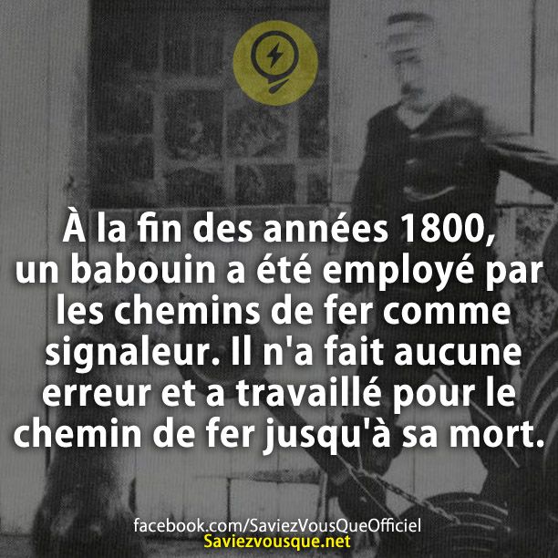 À la fin des années 1800, un babouin a été employé par les chemins de fer comme signaleur. Il n&#039;a fait aucune erreur et a travaillé pour le chemin de fer jusqu&#039;à sa mort.