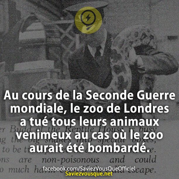 Au cours de la Seconde Guerre mondiale, le zoo de Londres a tué tous leurs animaux venimeux au cas où le zoo aurait été bombardé.