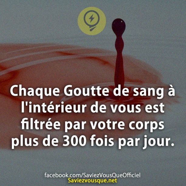 Chaque Goutte de sang à l&#039;intérieur de vous est filtrée par votre corps plus de 300 fois par jour.