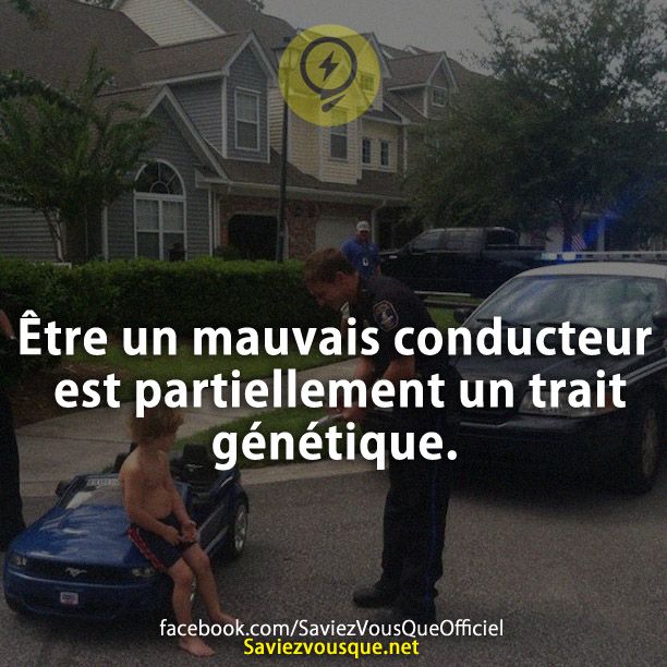 Être un mauvais conducteur est partiellement un trait génétique.