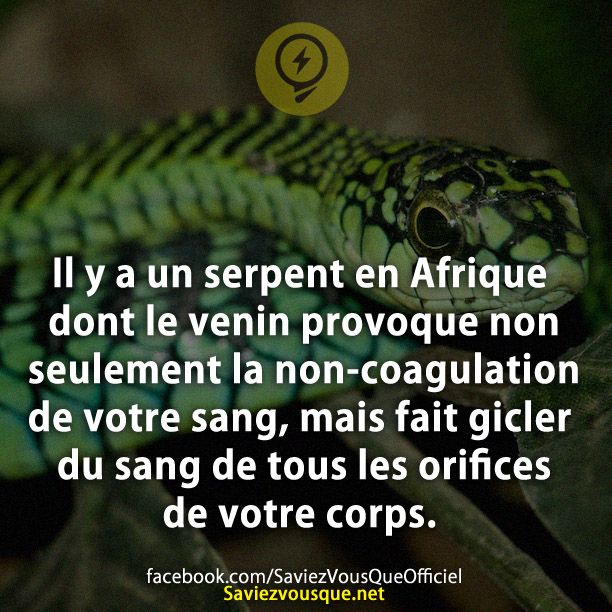 Il y a un serpent en Afrique dont le venin provoque non seulement la non-coagulation de votre sang, mais fait gicler du sang de tous les orifices de votre corps.