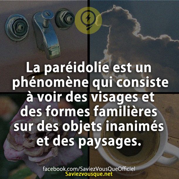 La paréidolie est un phénomène qui consiste à voir des visages et des formes familières sur des objets inanimés et des paysages.