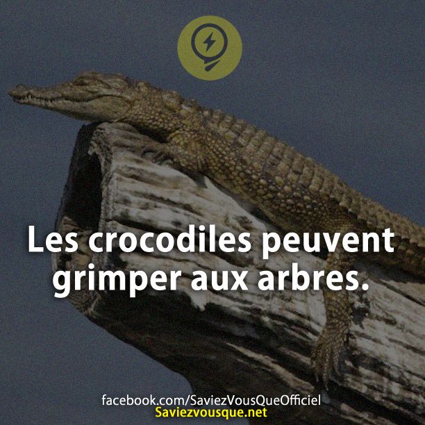 Les crocodiles peuvent grimper aux arbres.