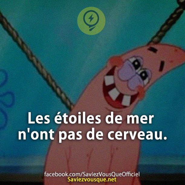 Les étoiles de mer n&#039;ont pas de cerveau.