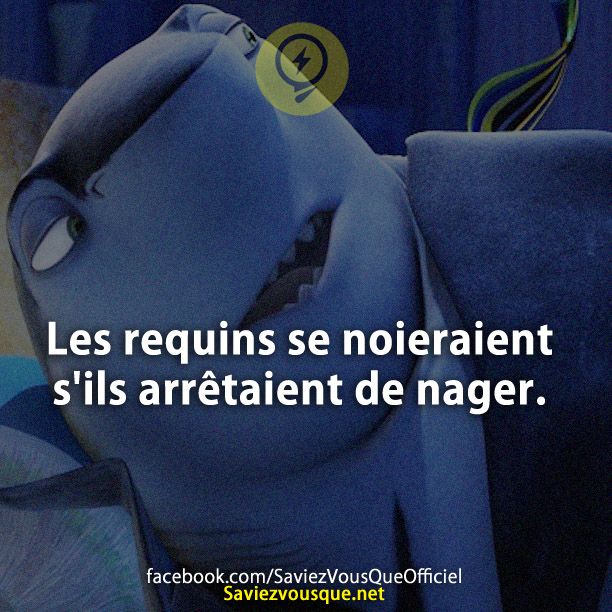 Les requins se noieraient s&#039;ils arrêtaient de nager.