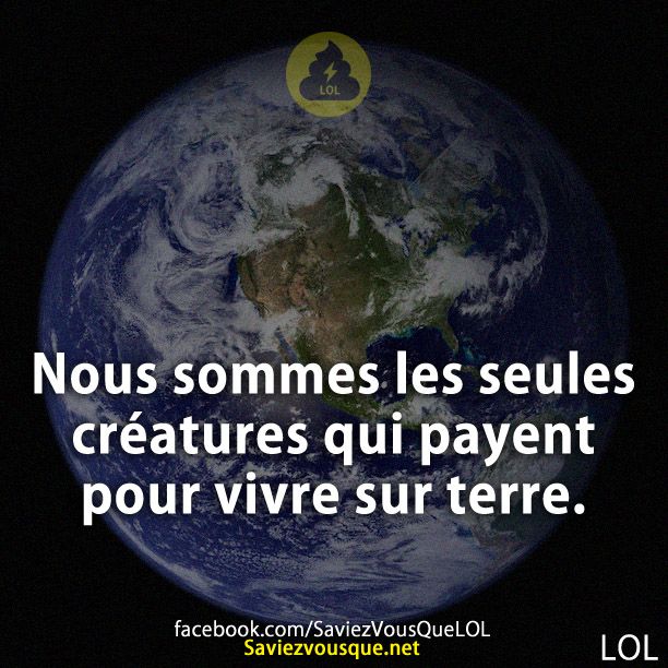 Nous sommes les seules créatures qui payent pour vivre sur terre.
