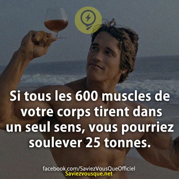 Si tous les 600 muscles de votre corps tirent dans un seul sens, vous pourriez soulever 25 tonnes.
