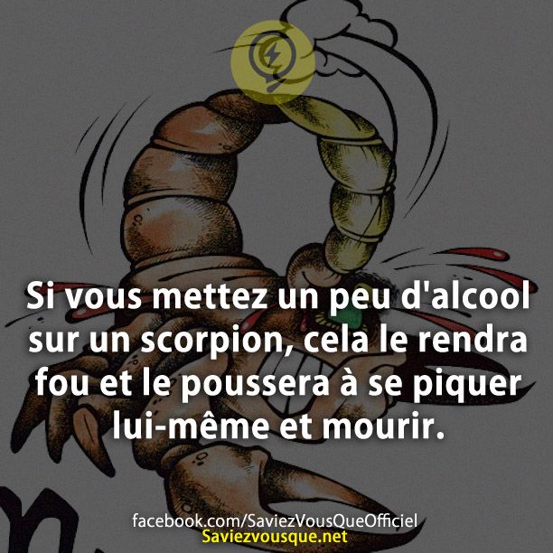 Si vous mettez un peu d&#039;alcool sur un scorpion, cela le rendra fou et le poussera à se piquer lui-même et mourir.