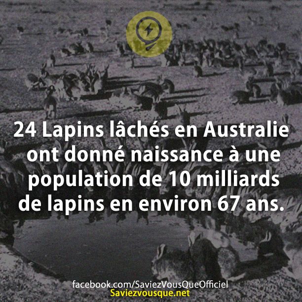 24 Lapins lâchés en Australie ont donné naissance à une population de 10 milliards de lapins en environ 67 ans.