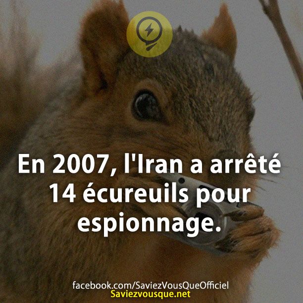 En 2007, l&#039;Iran a arrêté 14 écureuils pour espionnage.