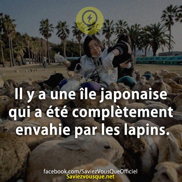 Il y a une île japonaise qui a été complètement envahie par les lapins.
