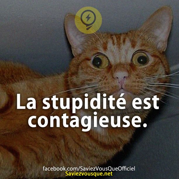 La stupidité est contagieuse.