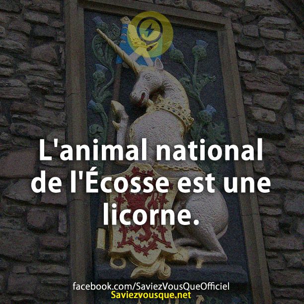 L&#039;animal national de l&#039;Écosse est une licorne.
