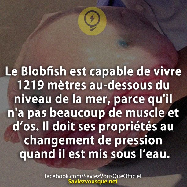 Le Blobfish est capable de vivre 1219 mètres au-dessous du niveau de la mer, parce qu&#039;il n&#039;a pas beaucoup de muscle et d’os. Il doit ses propriétés au changement de pression quand il est mis sous l’eau.