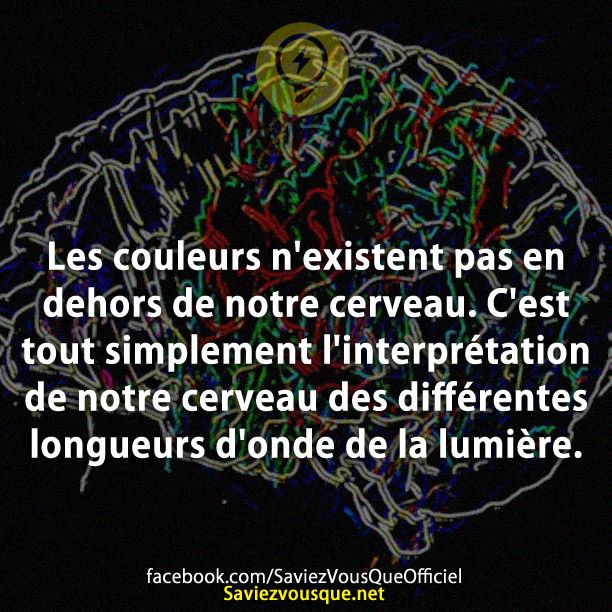 Les couleurs n&#039;existent pas en dehors de notre cerveau. C&#039;est tout simplement l&#039;interprétation de notre cerveau des différentes longueurs d&#039;onde de la lumière.