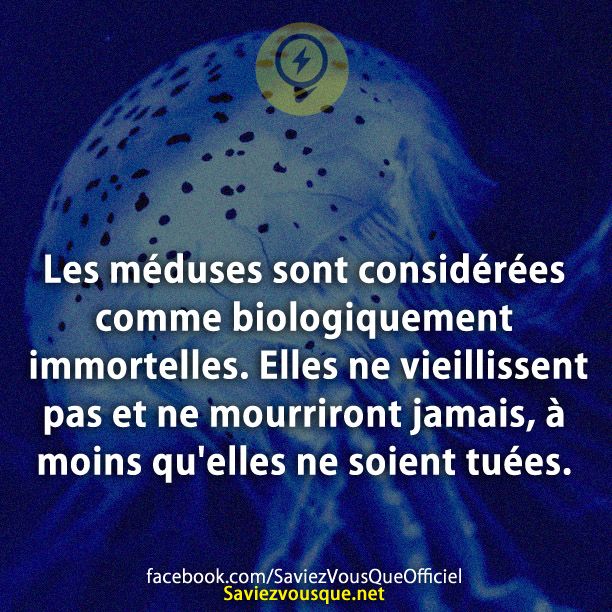 Les méduses sont considérées comme biologiquement immortelles. Elles ne vieillissent pas et ne mourriront jamais, à moins qu&#039;elles ne soient tuées.