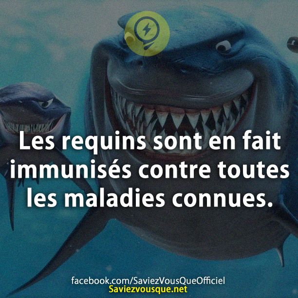 Les requins sont en fait immunisés contre toutes les maladies connues.