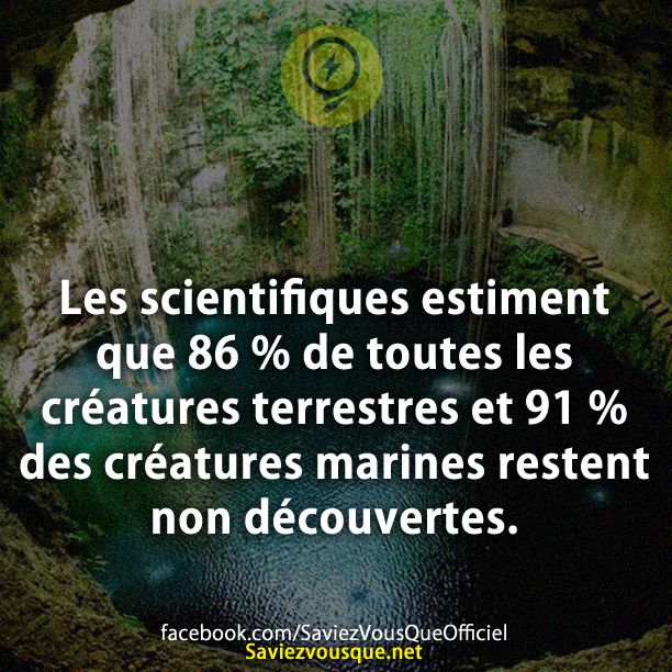 Les scientifiques estiment que 86 % de toutes les créatures terrestres et 91 % des créatures marines restent non découvertes.