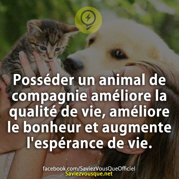 Posséder un animal de compagnie améliore la qualité de vie, améliore le bonheur et augmente l&#039;espérance de vie.