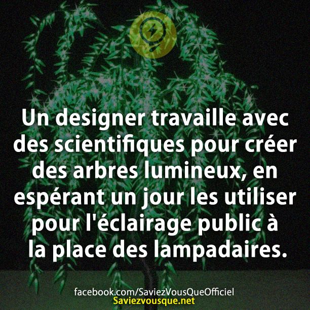 Un designer travaille avec des scientifiques pour créer des arbres lumineux, en espérant un jour les utiliser pour l&#039;éclairage public à la place des lampadaires.
