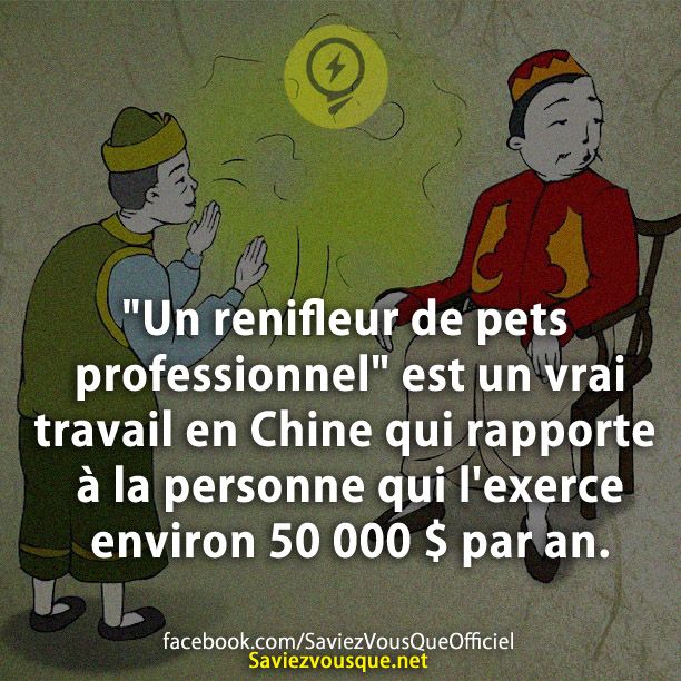 &quot;Un renifleur de pets professionnel&quot; est un vrai travail en Chine qui rapporte à la personne qui l&#039;exerce environ 50 000 $ par an.