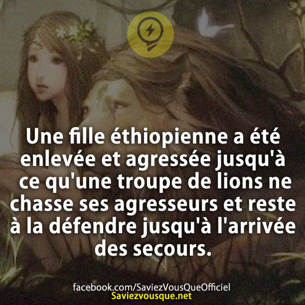 Une fille éthiopienne a été enlevée et agressée jusqu&#039;à ce qu&#039;une troupe de lions ne chasse ses agresseurs et reste à la défendre jusqu&#039;à l&#039;arrivée des secours.