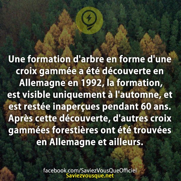 Une formation d&#039;arbre en forme d&#039;une croix gammée a été découverte en Allemagne en 1992, la formation, est visible uniquement à l&#039;automne, et est restée inaperçues pendant 60 ans. Après cette découverte, d&#039;autres croix gammées forestières ont été trouvées en Allemagne et ailleurs.