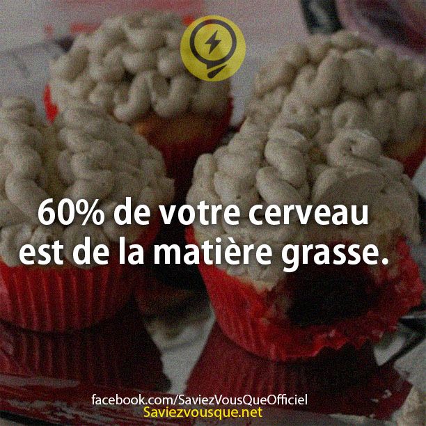 60% de votre cerveau est de la matière grasse.