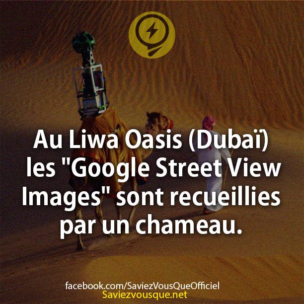 Au Liwa Oasis (Dubaï) les &quot;Google Street View Images&quot; sont recueillies par un chameau.