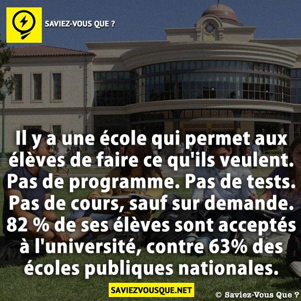 Il y a une école qui permet aux élèves de faire ce qu’ils veulent. Pas de programme. Pas de tests. Pas de cours, sauf sur demande. 82 % de ses élèves sont acceptés à l’université, contre 63% des écoles publiques nationales.