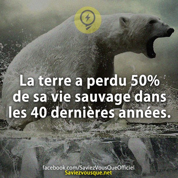 La terre a perdu 50% de sa vie sauvage dans les 40 dernières années.