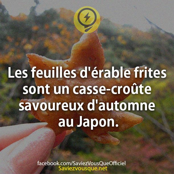 Les feuilles d&#039;érable frites  sont un casse-croûte savoureux d&#039;automne au Japon.