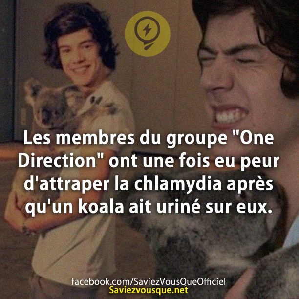 Les membres du groupe &quot;One Direction&quot; ont une fois eu peur d&#039;attraper la chlamydia après qu&#039;un koala ait uriné sur eux.