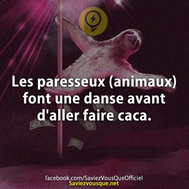 Les paresseux (animaux) font une danse avant d&#039;aller faire caca.
