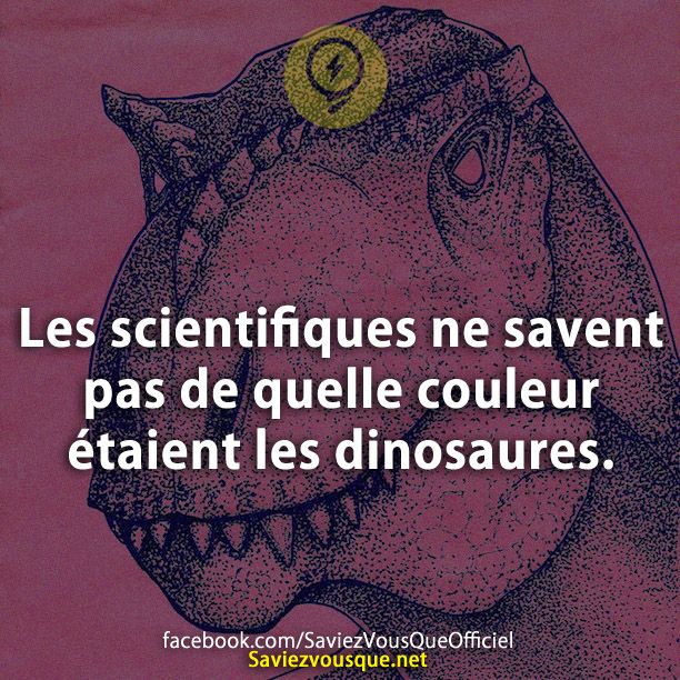 Les scientifiques ne savent pas de quelle couleur étaient les dinosaures.