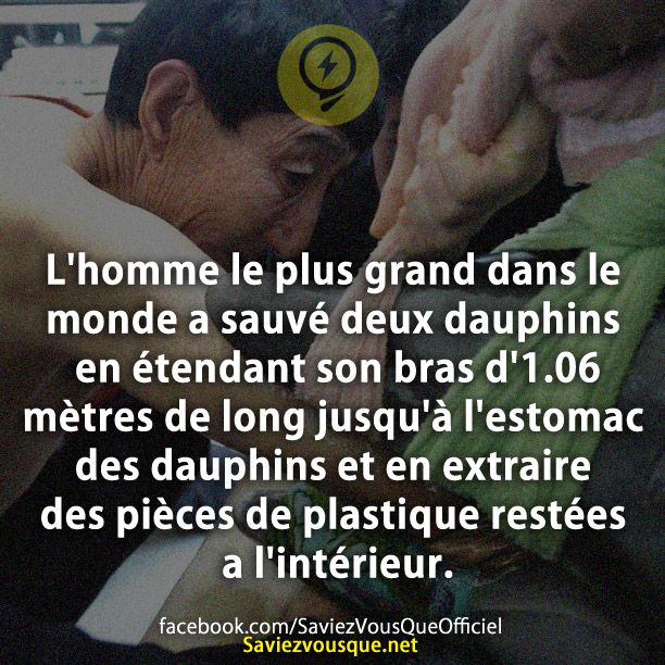 L&#039;homme le plus grand dans le monde a sauvé deux dauphins en étendant son bras d&#039;1.06 mètres de long jusqu&#039;à l&#039;estomac des dauphins et en extraire des pièces de plastique restées a l&#039;intérieur.