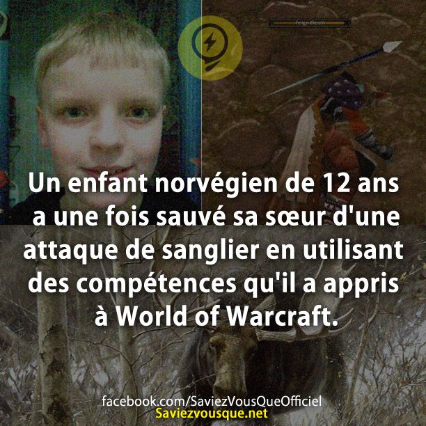 Un enfant norvégien de 12 ans a une fois sauvé sa sœur d&#039;une attaque de sanglier en utilisant des compétences qu&#039;il a appris à World of Warcraft.