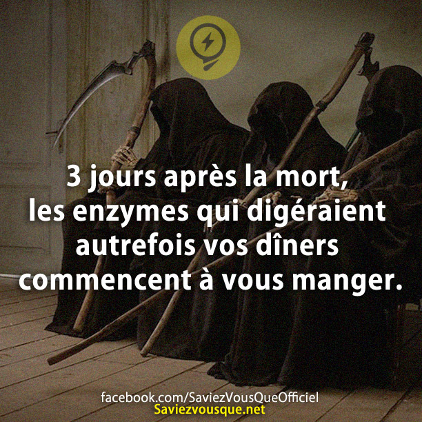 3 jours après la mort, les enzymes qui digéraient autrefois vos dîners commencent à vous manger.