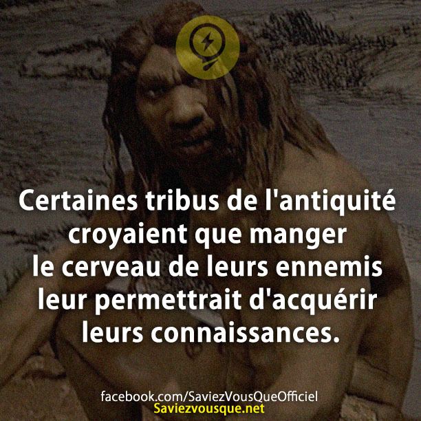 Certaines tribus de l&#039;antiquité croyaient que manger le cerveau de leurs ennemis leur permettrait d&#039;acquérir leurs connaissances.