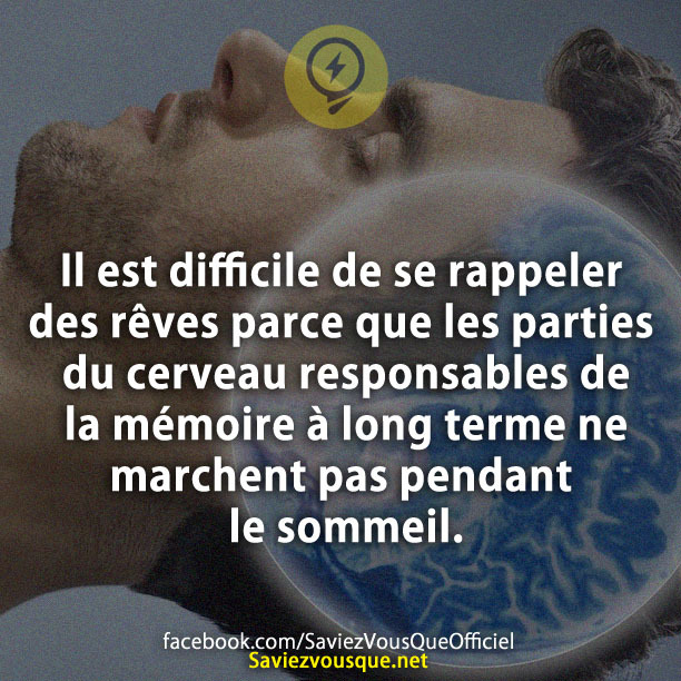 Il est difficile de se rappeler des rêves parce que les parties du cerveau responsables de la mémoire à long terme ne marchent pas pendant le sommeil.
