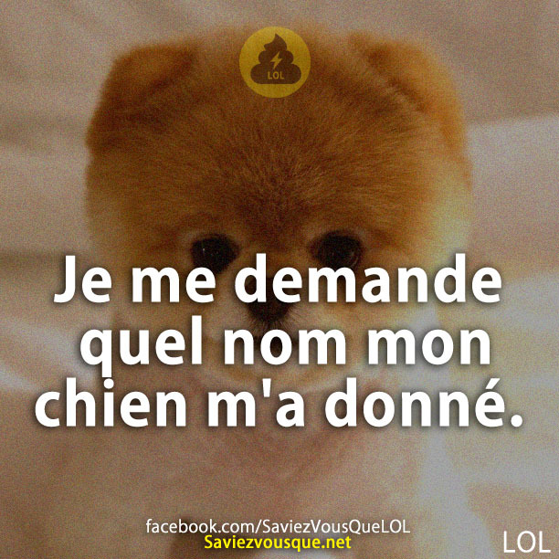 Je me demande quel nom mon chien m&#039;a donné.