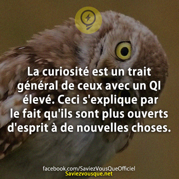 La curiosité est un trait général de ceux avec un QI élevé. Ceci s&#039;explique par le fait qu&#039;ils sont plus ouverts d&#039;esprit à de nouvelles choses.