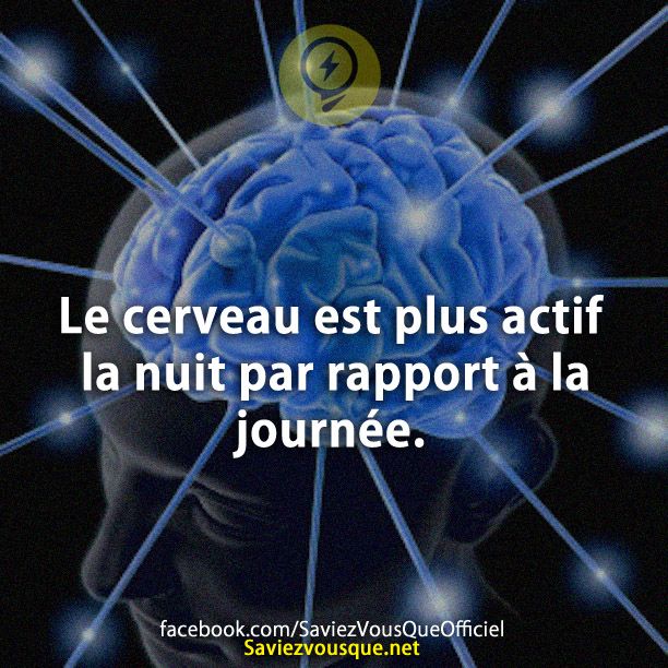 Le cerveau est plus actif la nuit par rapport à la journée.