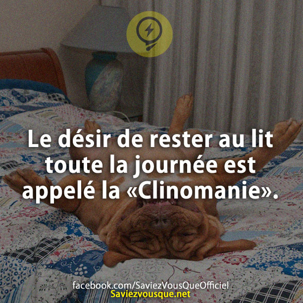 Le désir de rester au lit toute la journée est appelé la «Clinomanie».