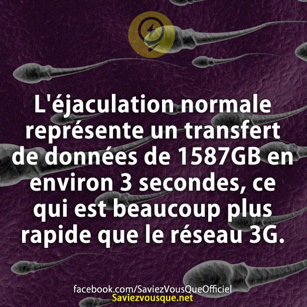 L&#039;éjaculation normale représente un transfert de données de 1587GB en environ 3 secondes, ce qui est beaucoup plus rapide que le réseau 3G.